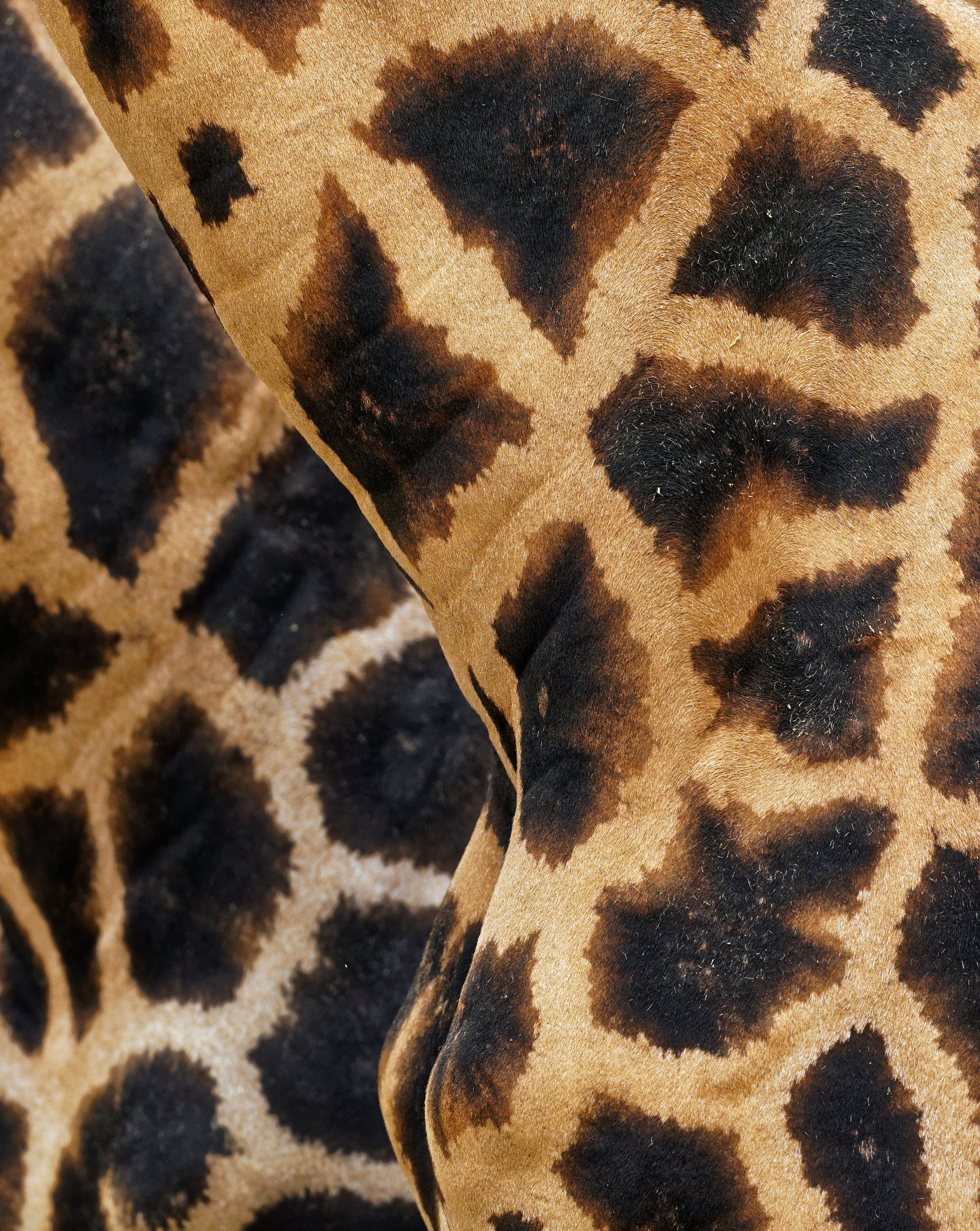 black and beige giraffe print garment